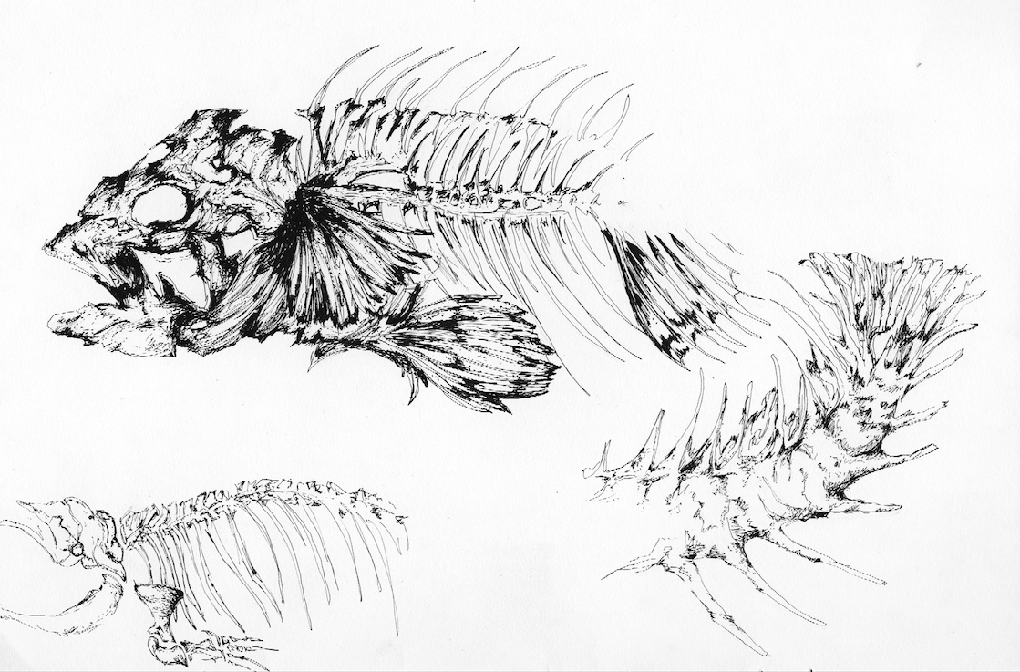 1119x737 Bio Economy Plastic Pollution + Sketches On Behance - Pollution Sketch