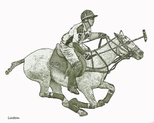 600x480 Polo Sketch 12 Art Print By Larry Linton - Polo Sketch