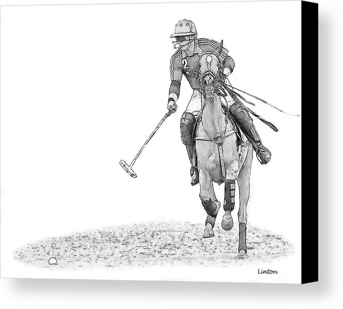 678x610 Polo Sketch 14 Canvas Print Canvas Art By Larry Linton - Polo Sketch