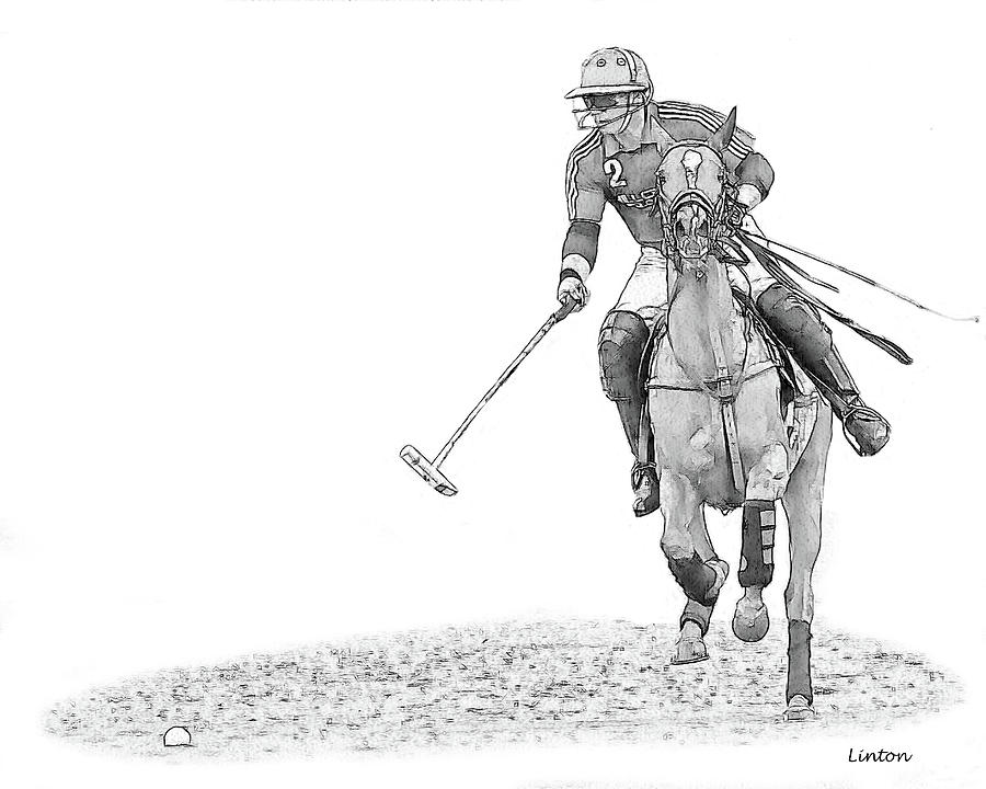 900x720 Polo Sketch 14 Digital Art By Larry Linton - Polo Sketch