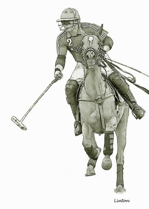 500x700 Polo Sketch 15 Greeting Card For Sale By Larry Linton - Polo Sketch