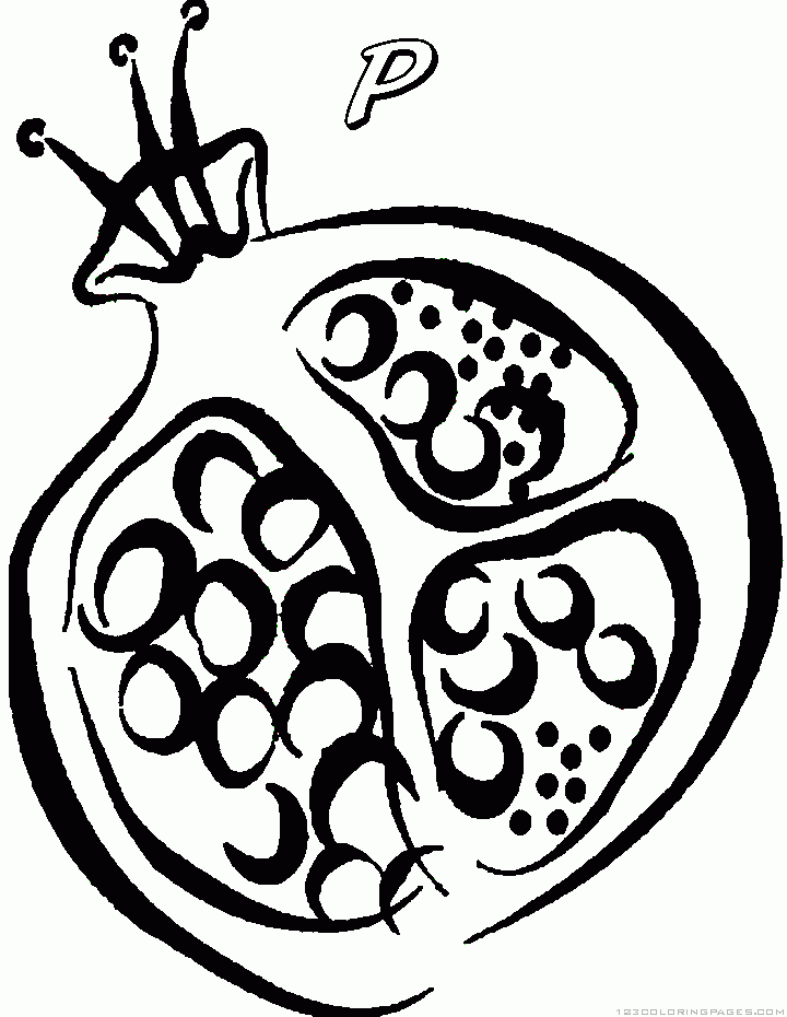 720x930 Pomegranate Coloring Pages - Pomegranate Sketch