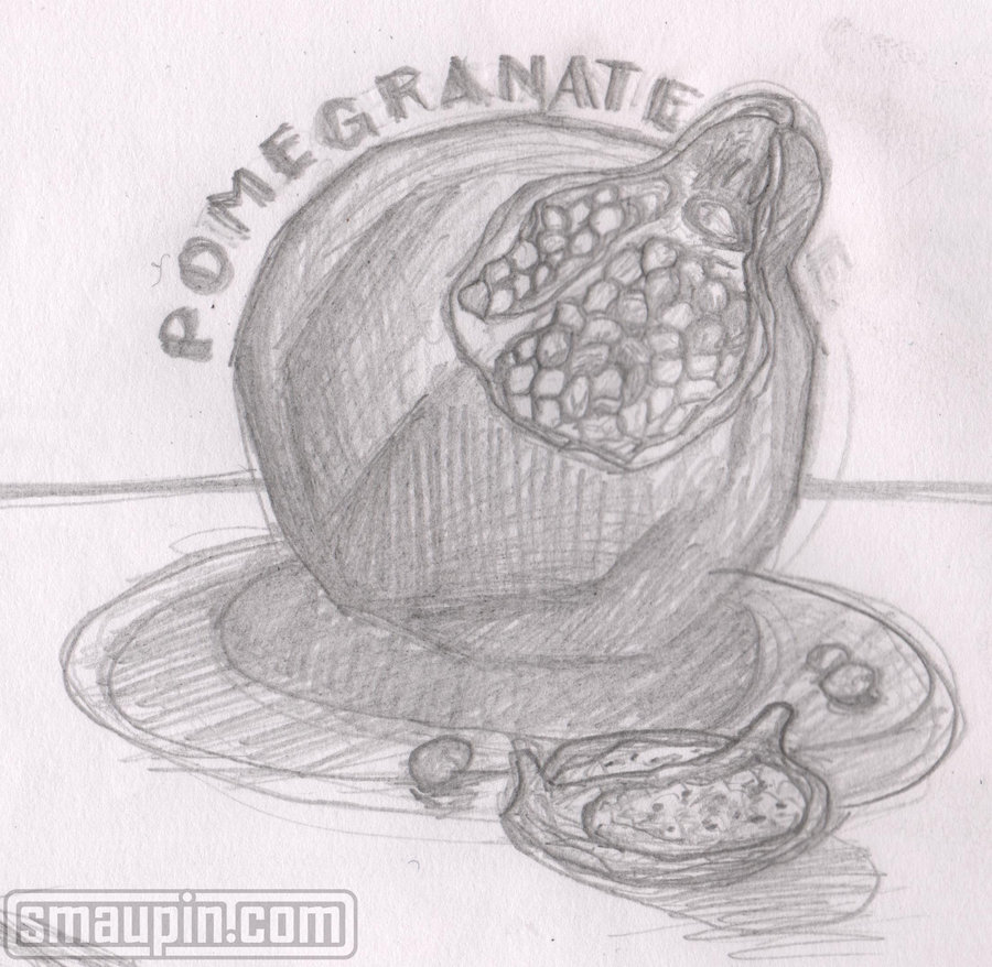 900x878 Pomegranate Sketch By Smaupin - Pomegranate Sketch
