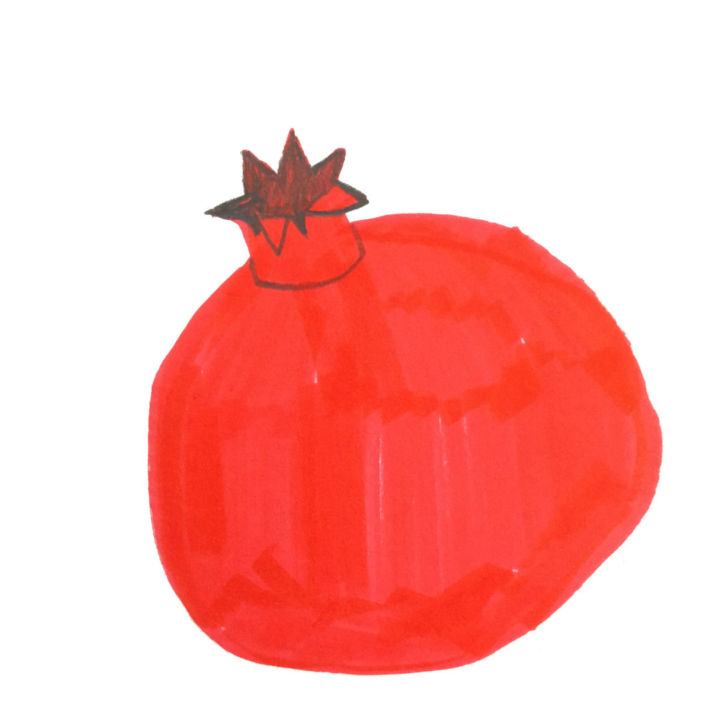 1000x1000 Pomegranate Print Sidsel - Pomegranate Sketch