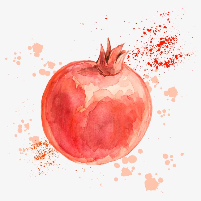650x650 Vector Drawing Pomegranate, Drawing Fruit, Vector Fruit, Fruit Png - Pomegranate Sketch
