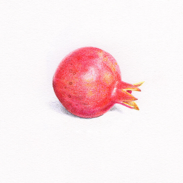 Pomegranate Sketch at PaintingValley.com | Explore collection of ...