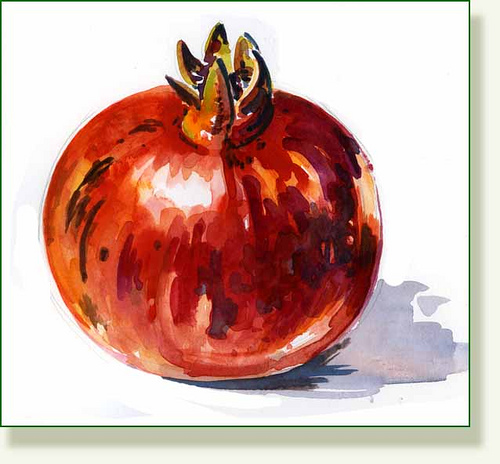 500x464 Pomegranate Sketch Pencilandleaf - Pomegranate Sketch