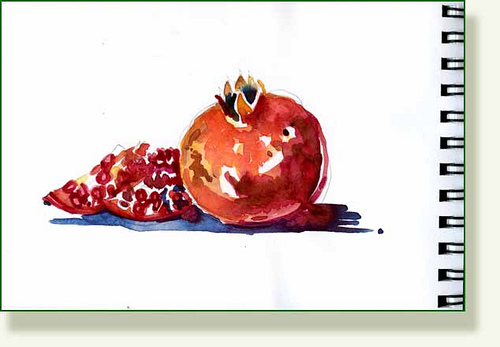 500x347 Pomegranate Sketch Small Pencilandleaf - Pomegranate Sketch