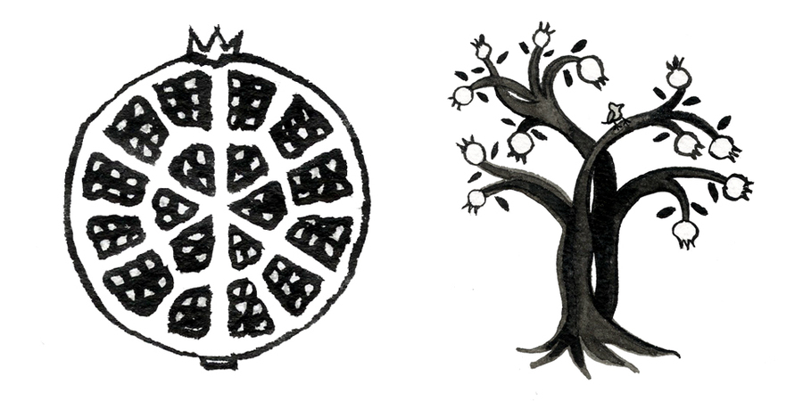 900x450 Download Pomegranate Tree Black And White Clipart Pomegranate - Pomegranate Sketch