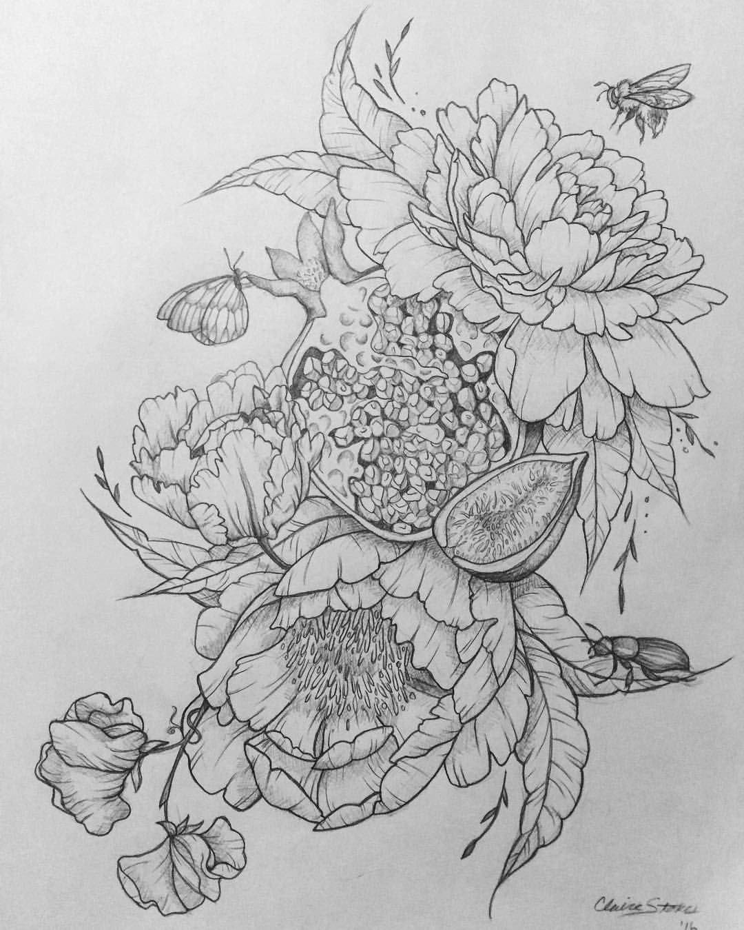 1080x1349 Peony Pomegranate Sweet Peas Moth Honeybee Beetle - Pomegranate Sketch
