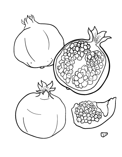 392x507 Pin By Muse Printables On Coloring Pages - Pomegranate Sketch