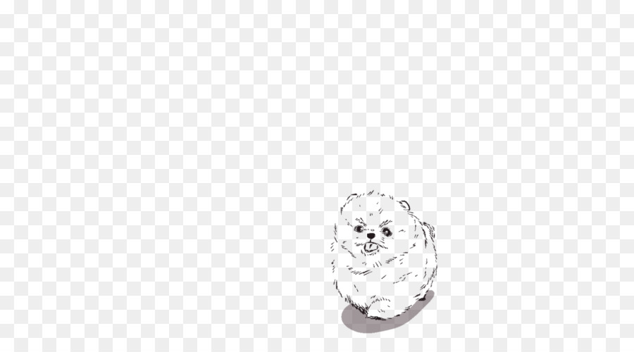 900x500 Pomeranian Drawing Puppy Siberian Husky Poodle - Pomeranian Sketch