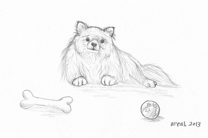 720x480 Pomeranian Dog Sketch Art By Breah - Pomeranian Sketch