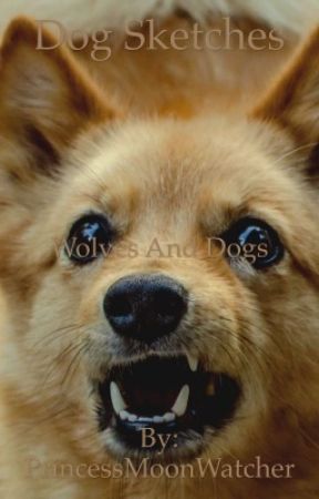 288x450 My First Dog Sketch Book Tour - Pomeranian Sketch