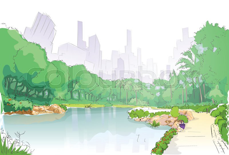 800x543 Green Park In City Center Pond Trees And Road Path Sketch Vector - Pond Sketch
