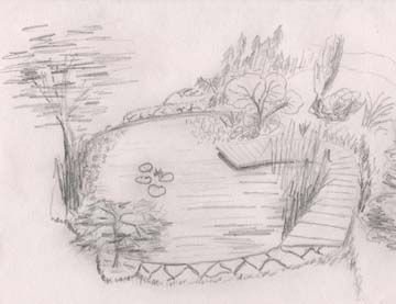 360x277 A Recent Pond Built In Charminster - Pond Sketch