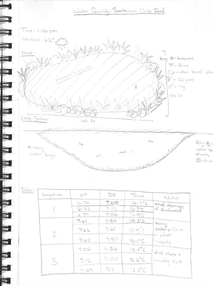 430x576 Pond Sketch - Pond Sketch