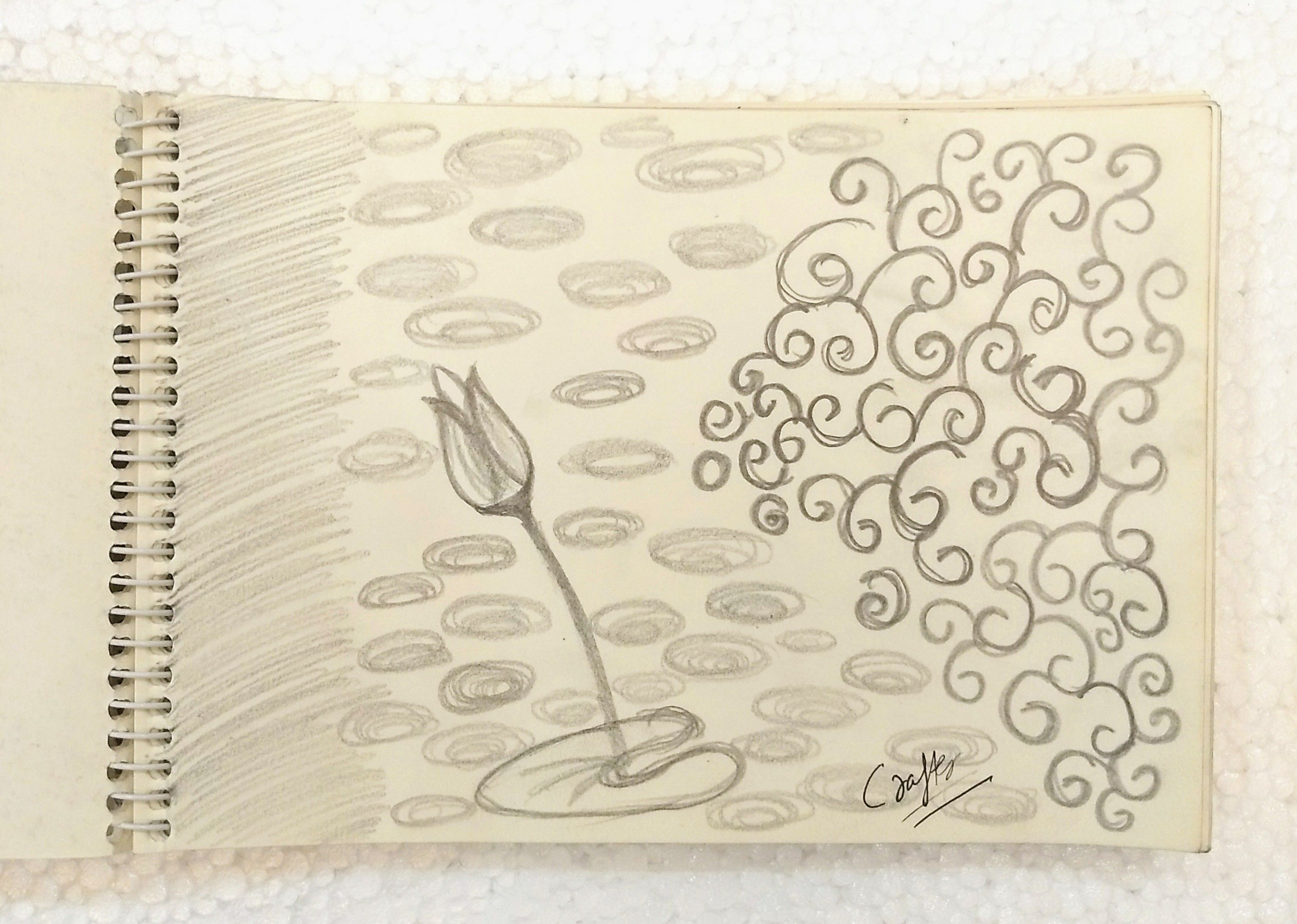 2983x2126 Sketch Week - Pond Sketch