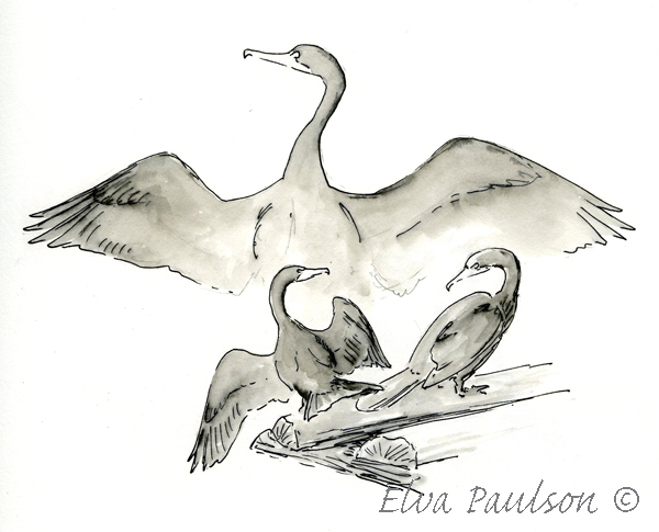 600x485 Sketching In Nature Pond Sketches - Pond Sketch