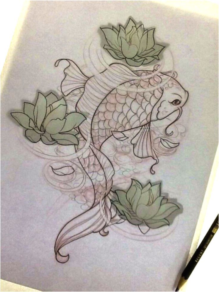 736x980 Fish In A Pond Sketch - Pond Sketch