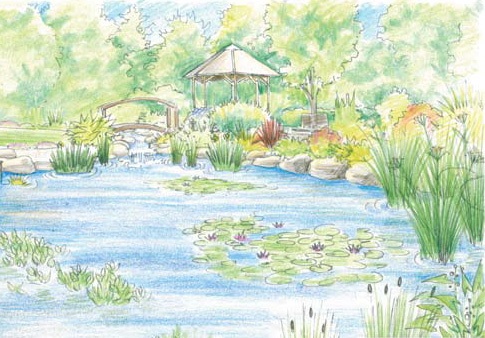 485x338 Aquatic Design In Coventry Amp Warwickshire Landscape Design - Pond Sketch