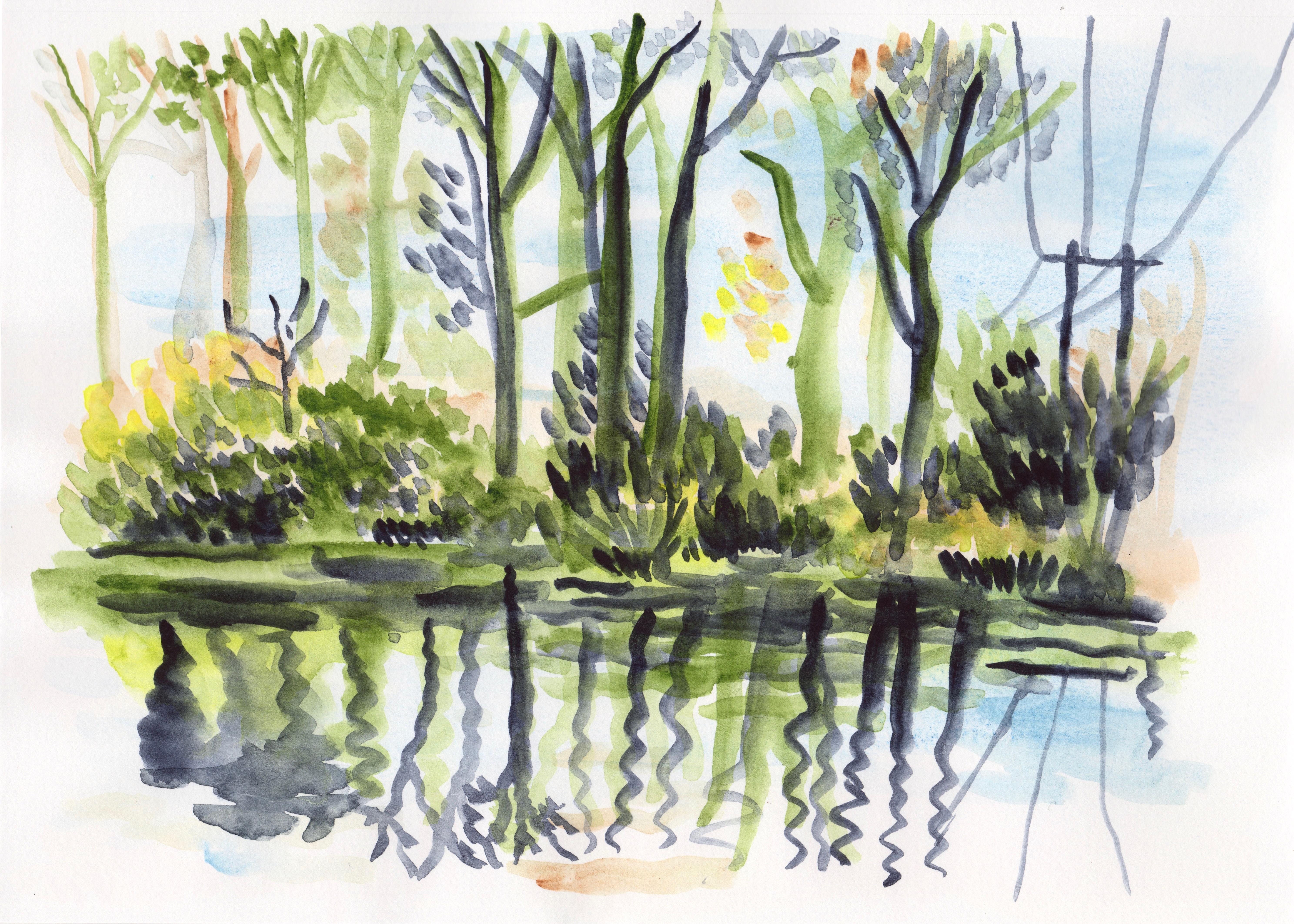 5951x4249 Delta Pond Sketch, Eugene Or Watercolor - Pond Sketch
