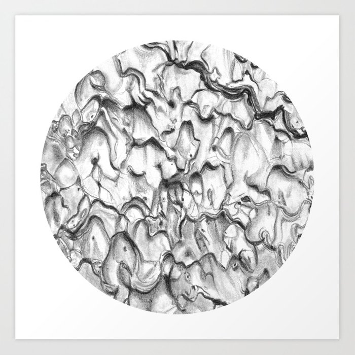700x700 Ponderosa Pine Tree Bark 2 Circle Art Print By Daniellemarseglia - Ponderosa Pine Sketch