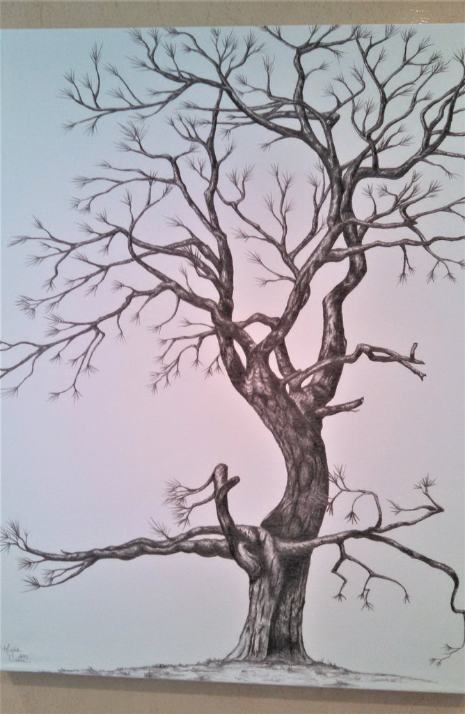 668x1024 Ponderosa Pine On Canvas (Tree 2) - Ponderosa Pine Sketch