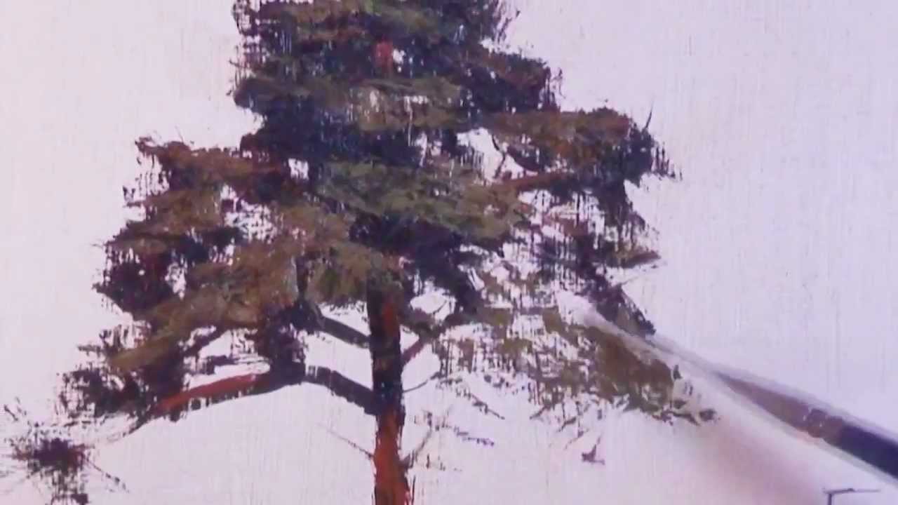 1280x720 How To Paint A Ponderosa Pine Tree - Ponderosa Pine Sketch
