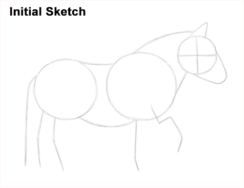 500x386 How To Draw A Pony - Pony Sketch