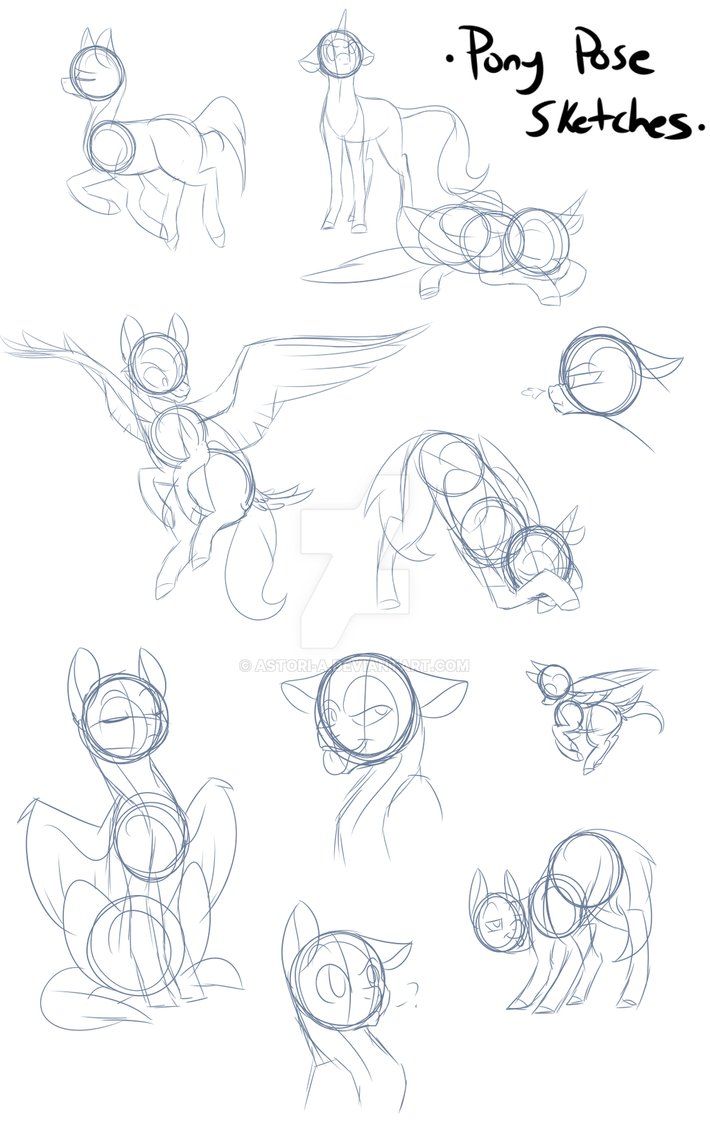 710x1124 Pony Poses Sketch Study By On - Pony Sketch