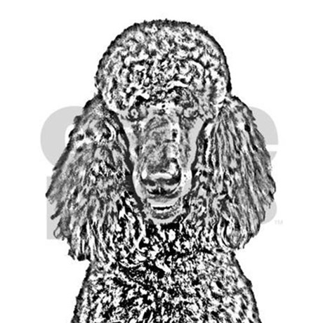 Poodle Sketch at PaintingValley.com | Explore collection of Poodle Sketch