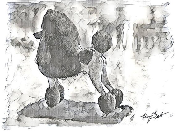 570x428 Poodle Sketch Teddy Notes Etsy - Poodle Sketch