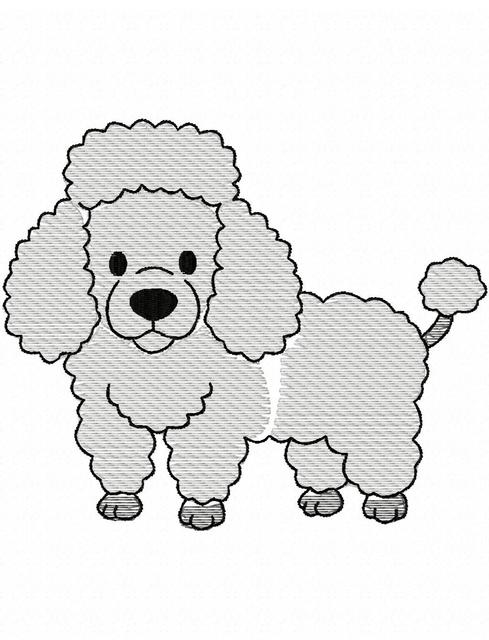 489x640 Poodle Sketch Embroidery Design - Poodle Sketch