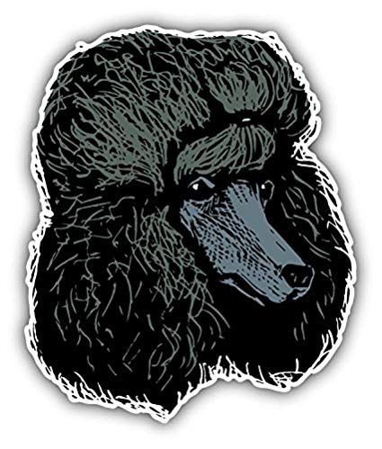 425x499 Poodle Dog Head Sketch Art Decor Bumper Sticker 4' X - Poodle Sketch