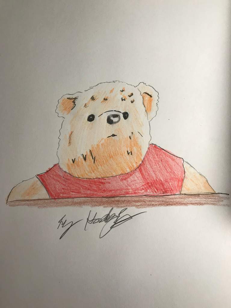768x1024 Real Life Pooh Bear Sketch Disney Amino - Pooh Bear Sketch