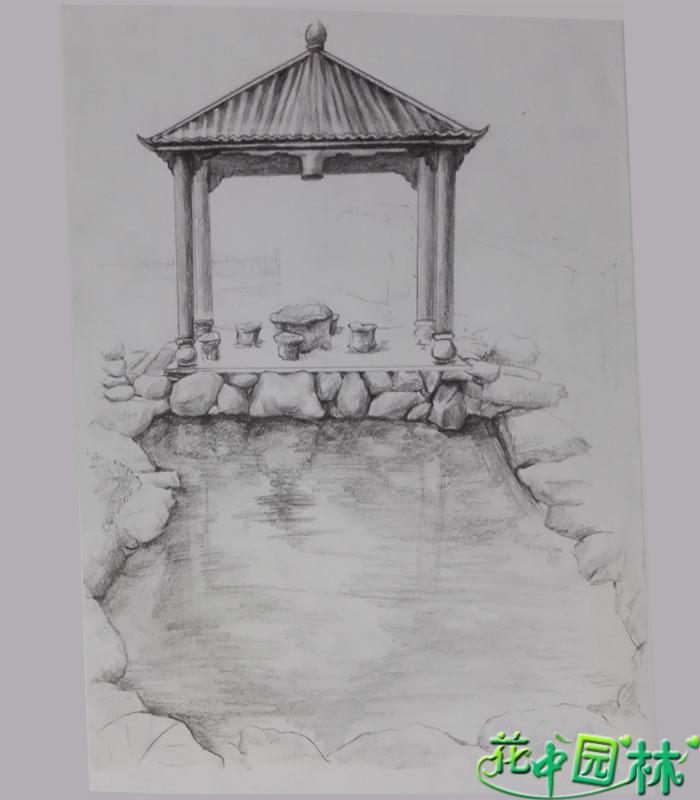 700x800 Rockery Pool Sketch - Pool Sketch