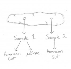 300x292 Which Bacteria Are In My Poop It Depends Where You Look - Poop Sketch