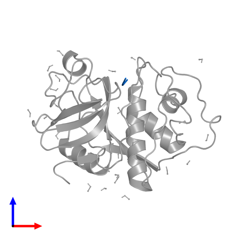 800x800 Pdb 1pop Gallery Protein Data Bank In Europe (Pdbe) Embl Ebi - Pop Copy Sketch