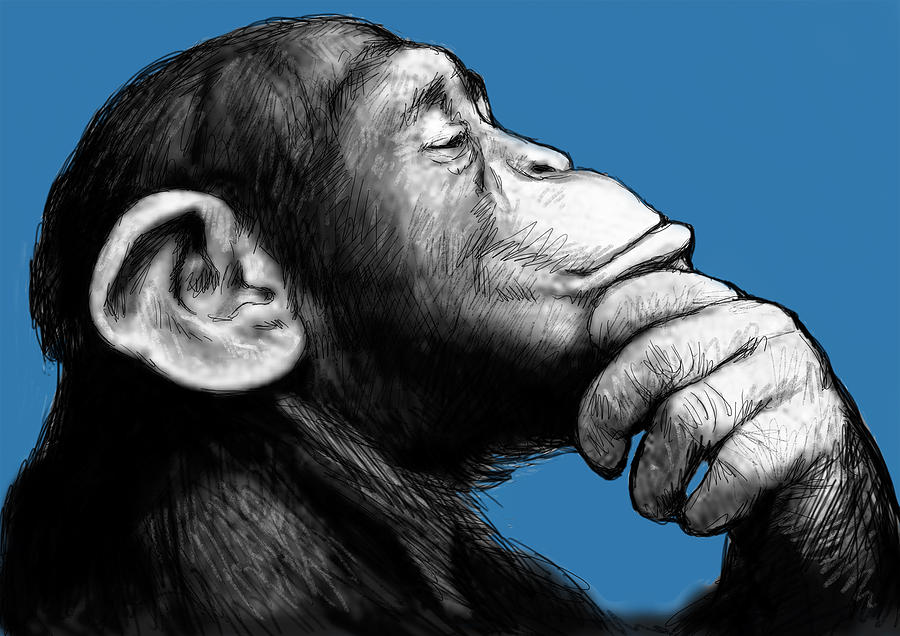 900x636 Monkey Pop Art Drawing Sketch Painting By Kim Wang - Pop Sketch