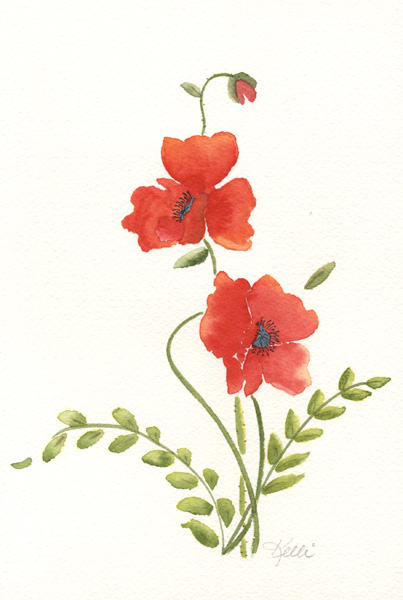 403x600 Corn Poppy - Poppy Flower Sketch
