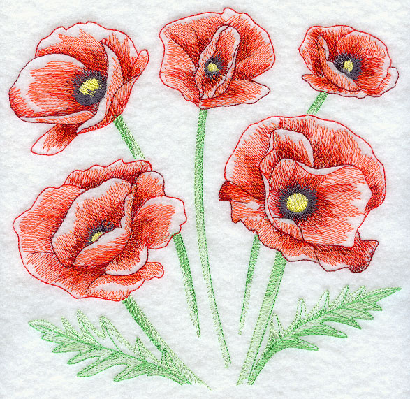 587x571 Machine Embroidery Designs - Poppy Sketch
