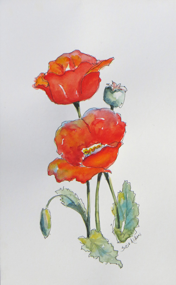 600x968 Poppy Sketch Creating In Alaska - Poppy Sketch