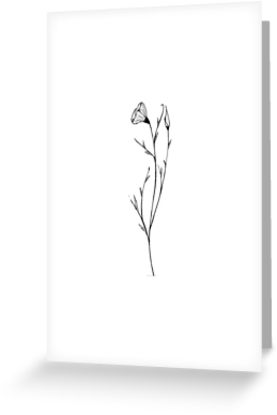 277x415 Poppy Sketch Greeting Cards By Pccleary Redbubble - Poppy Sketch