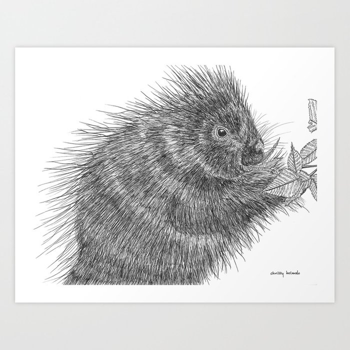 700x700 Porcupine Art Print By Thesweetbel Society6 - Porcupine Sketch