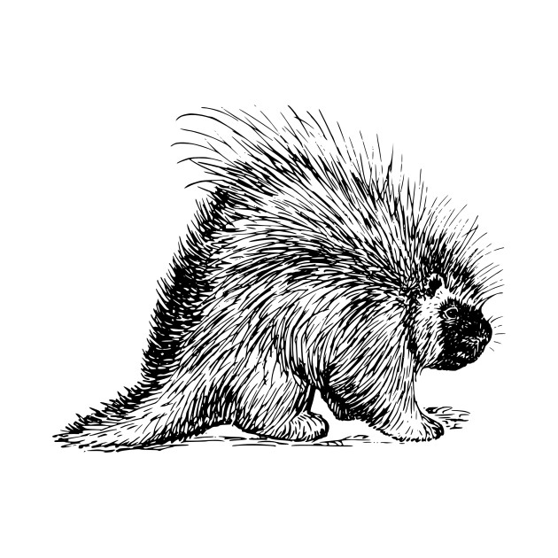 630x630 Porcupine Shirt - Porcupine Sketch