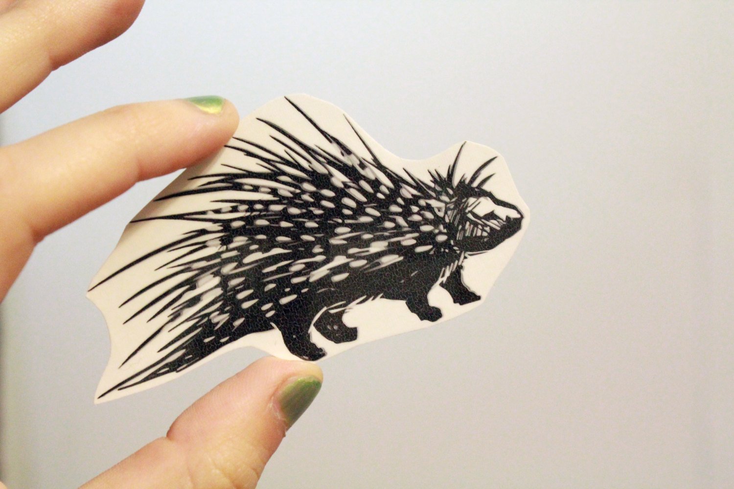 1500x1000 Porcupine Temporary Tattoo Naturetats - Porcupine Sketch