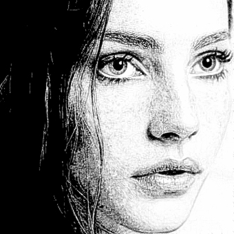 340x340 Pencil Sketches Of Nature Of Sceneries Landscapes Of Flowers Of - Portrait Sketch Online