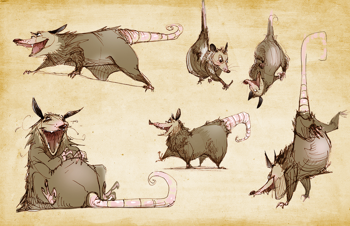 1224x792 Wendell Dalit Awesome Possum - Possum Sketch