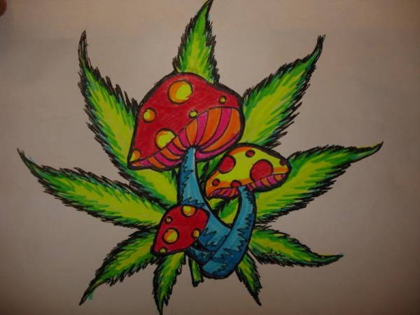 Drawn Marijuana Leaf Draw - Pot Leaf Sketch. 